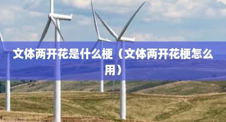 文体两开花是什么梗（文体两开花梗怎么用）