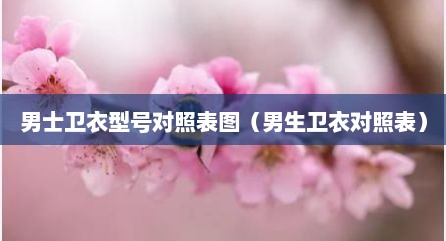 男士卫衣型号对照表图（男生卫衣对照表）