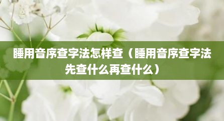 睡用音序查字法怎样查（睡用音序查字法先查什么再查什么）
