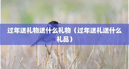 过年送礼物送什么礼物（过年送礼送什么礼品）
