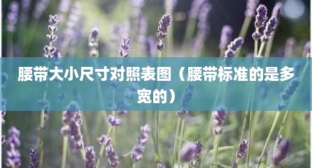 腰带大小尺寸对照表图（腰带标准的是多宽的）