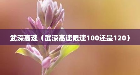 武深高速（武深高速限速100还是120）