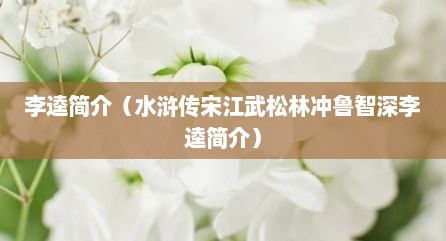 李逵简介（水浒传宋江武松林冲鲁智深李逵简介）