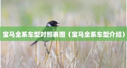 宝马全系车型对照表图（宝马全系车型介绍）