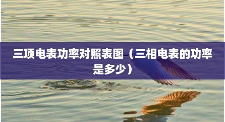 三项电表功率对照表图（三相电表的功率是多少）