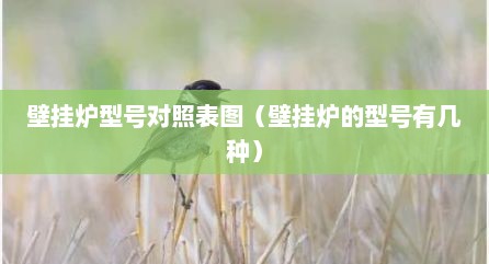 壁挂炉型号对照表图（壁挂炉的型号有几种）