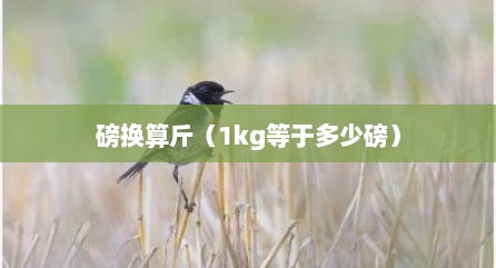 磅换算斤（1kg等于多少磅）