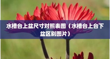 水槽台上盆尺寸对照表图（水槽台上台下盆区别图片）