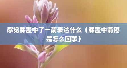 感觉膝盖中了一箭表达什么（膝盖中箭疼是怎么回事）