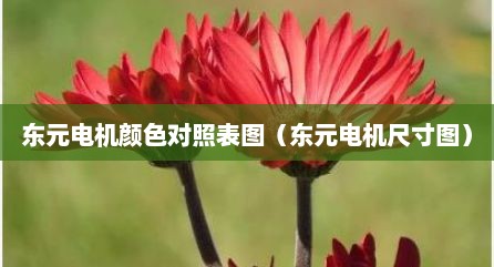 东元电机颜色对照表图（东元电机尺寸图）