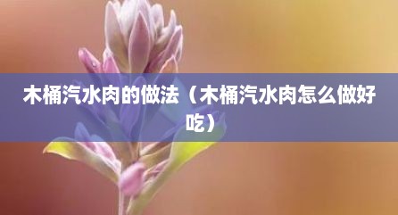 木桶汽水肉的做法（木桶汽水肉怎么做好吃）