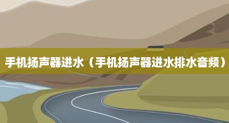 手机扬声器进水（手机扬声器进水排水音频）