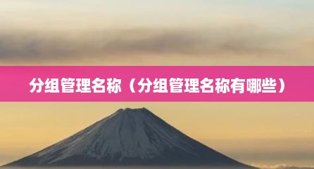 分组管理名称（分组管理名称有哪些）