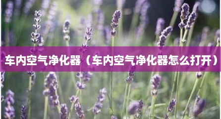 车内空气净化器（车内空气净化器怎么打开）