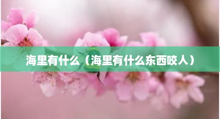 海里有什么（海里有什么东西咬人）