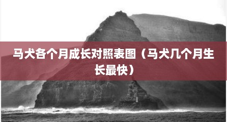 马犬各个月成长对照表图（马犬几个月生长最快）
