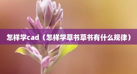 怎样学cad（怎样学草书草书有什么规律）