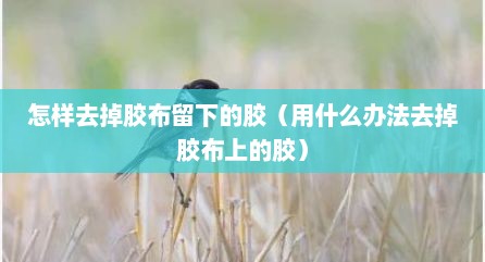 怎样去掉胶布留下的胶（用什么办法去掉胶布上的胶）