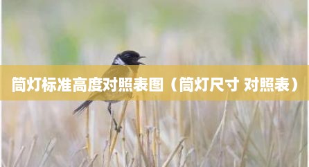 筒灯标准高度对照表图（筒灯尺寸 对照表）