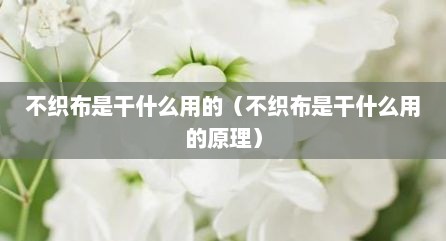 不织布是干什么用的（不织布是干什么用的原理）