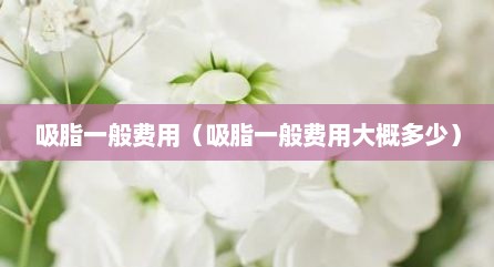 吸脂一般费用（吸脂一般费用大概多少）