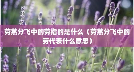 劳燕分飞中的劳指的是什么（劳燕分飞中的劳代表什么意思）