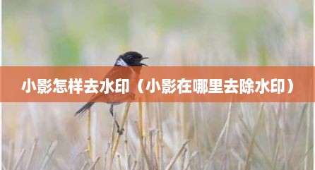 小影怎样去水印（小影在哪里去除水印）