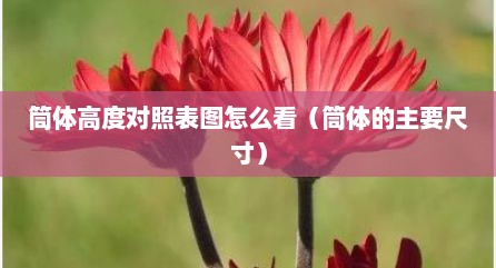 筒体高度对照表图怎么看（筒体的主要尺寸）