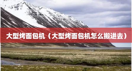 大型烤面包机（大型烤面包机怎么搬进去）