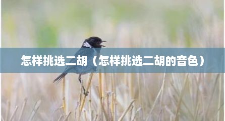 怎样挑选二胡（怎样挑选二胡的音色）