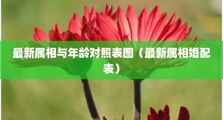 最新属相与年龄对照表图（最新属相婚配表）
