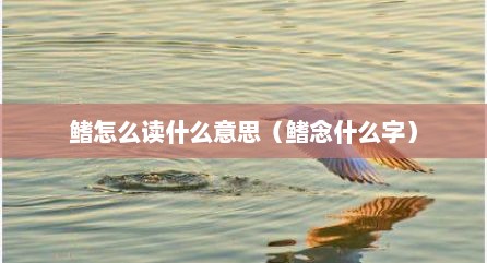 鳍怎么读什么意思（鳍念什么字）