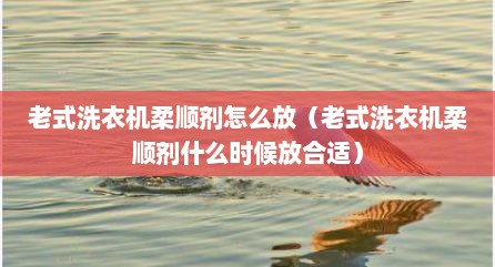 老式洗衣机柔顺剂怎么放（老式洗衣机柔顺剂什么时候放合适）