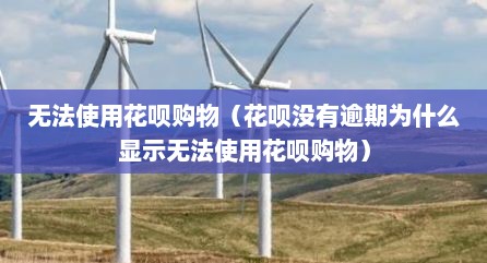 无法使用花呗购物（花呗没有逾期为什么显示无法使用花呗购物）