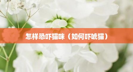 怎样恐吓猫咪（如何吓唬猫）
