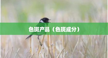 色斑产品（色斑成分）