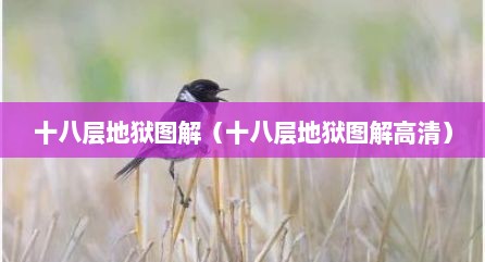 十八层地狱图解（十八层地狱图解高清）