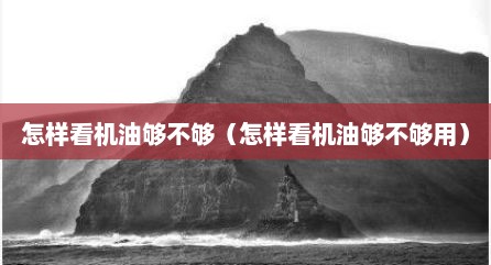 怎样看机油够不够（怎样看机油够不够用）