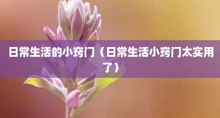 日常生活的小窍门（日常生活小窍门太实用了）