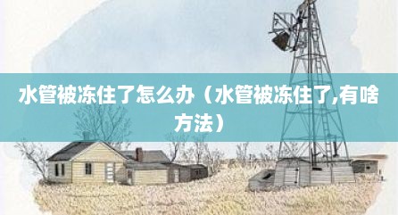 水管被冻住了怎么办（水管被冻住了,有啥方法）