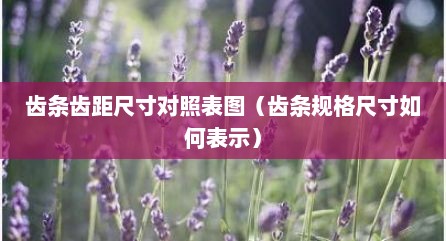 齿条齿距尺寸对照表图（齿条规格尺寸如何表示）