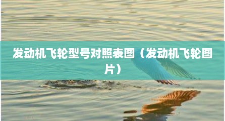 发动机飞轮型号对照表图（发动机飞轮图片）