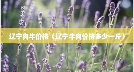 辽宁肉牛价格（辽宁牛肉价格多少一斤）