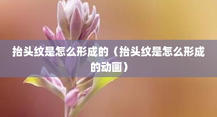 抬头纹是怎么形成的（抬头纹是怎么形成的动画）
