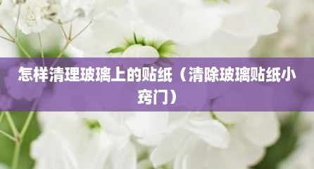 怎样清理玻璃上的贴纸（清除玻璃贴纸小窍门）