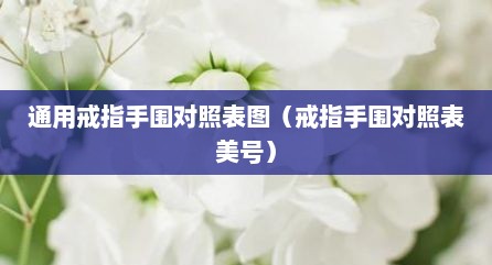 通用戒指手围对照表图（戒指手围对照表美号）