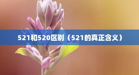 521和520区别（521的真正含义）