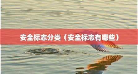 安全标志分类（安全标志有哪些）