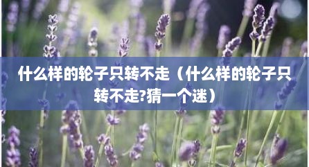 什么样的轮子只转不走（什么样的轮子只转不走?猜一个迷）