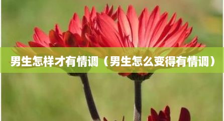 男生怎样才有情调（男生怎么变得有情调）